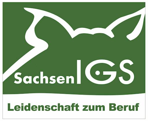 IGS Sachsen